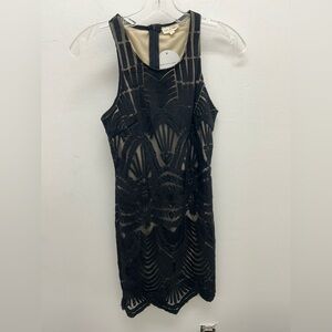 Tea n Cup Black Sheer Bodycon Dress